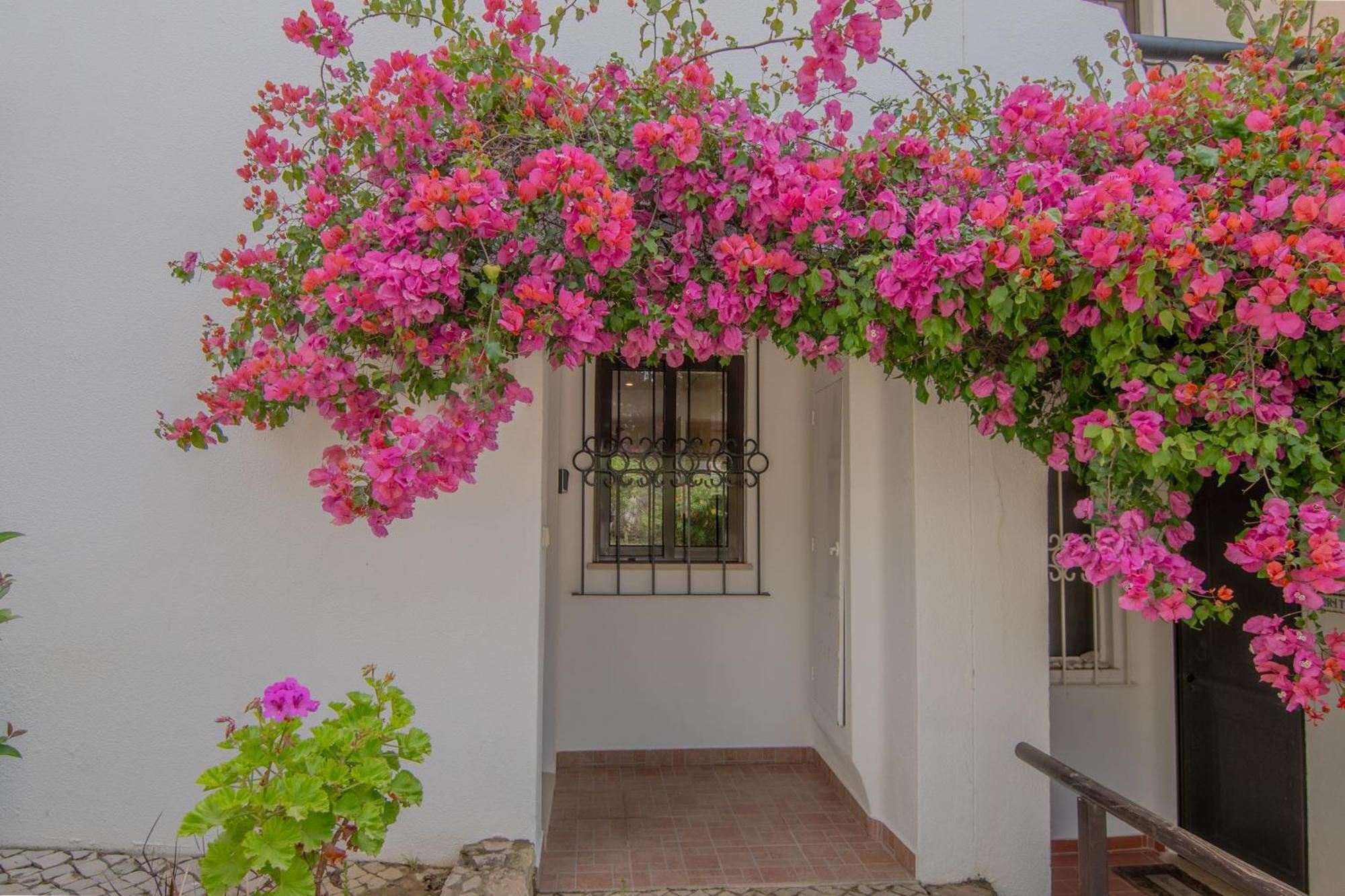 Coastal Retreat With Pool And Beach Access By Drago Rentals Albufeira Eksteriør billede